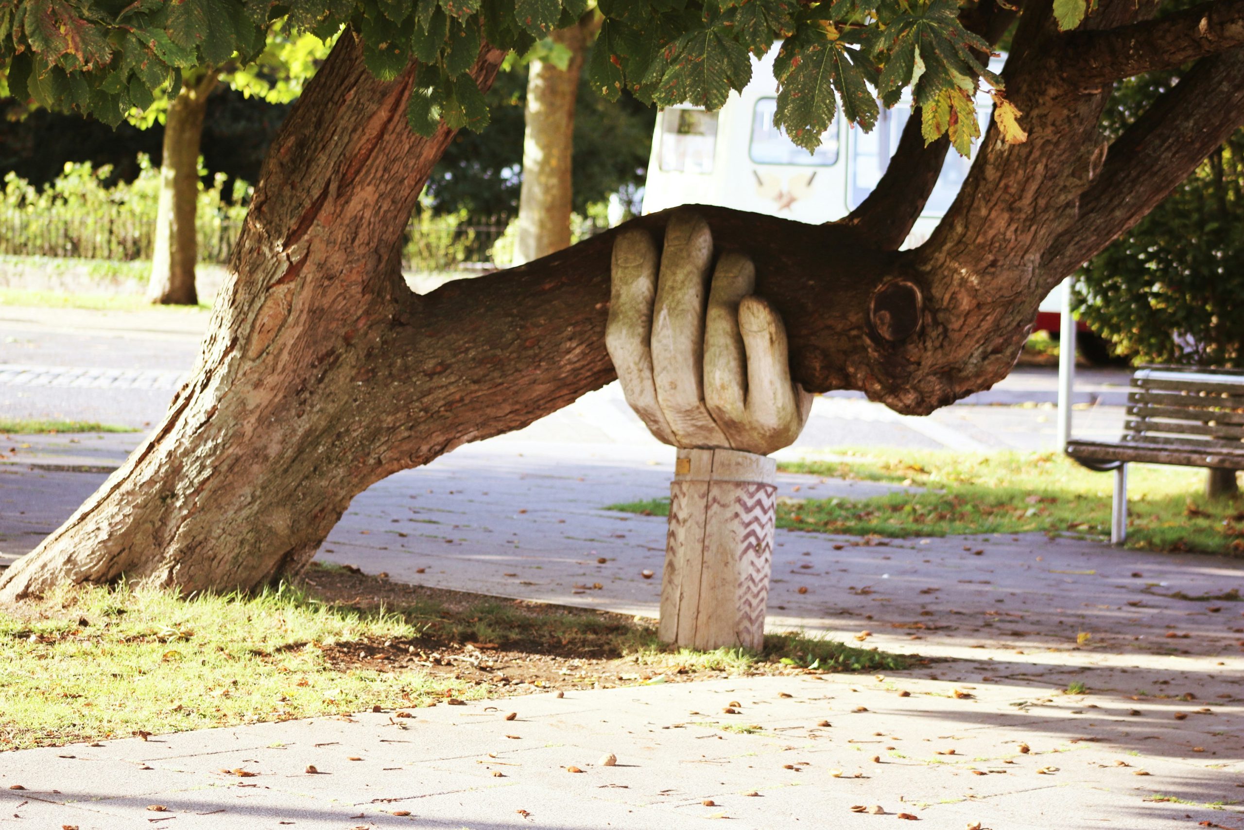 sculpted hand holding up a tree branch