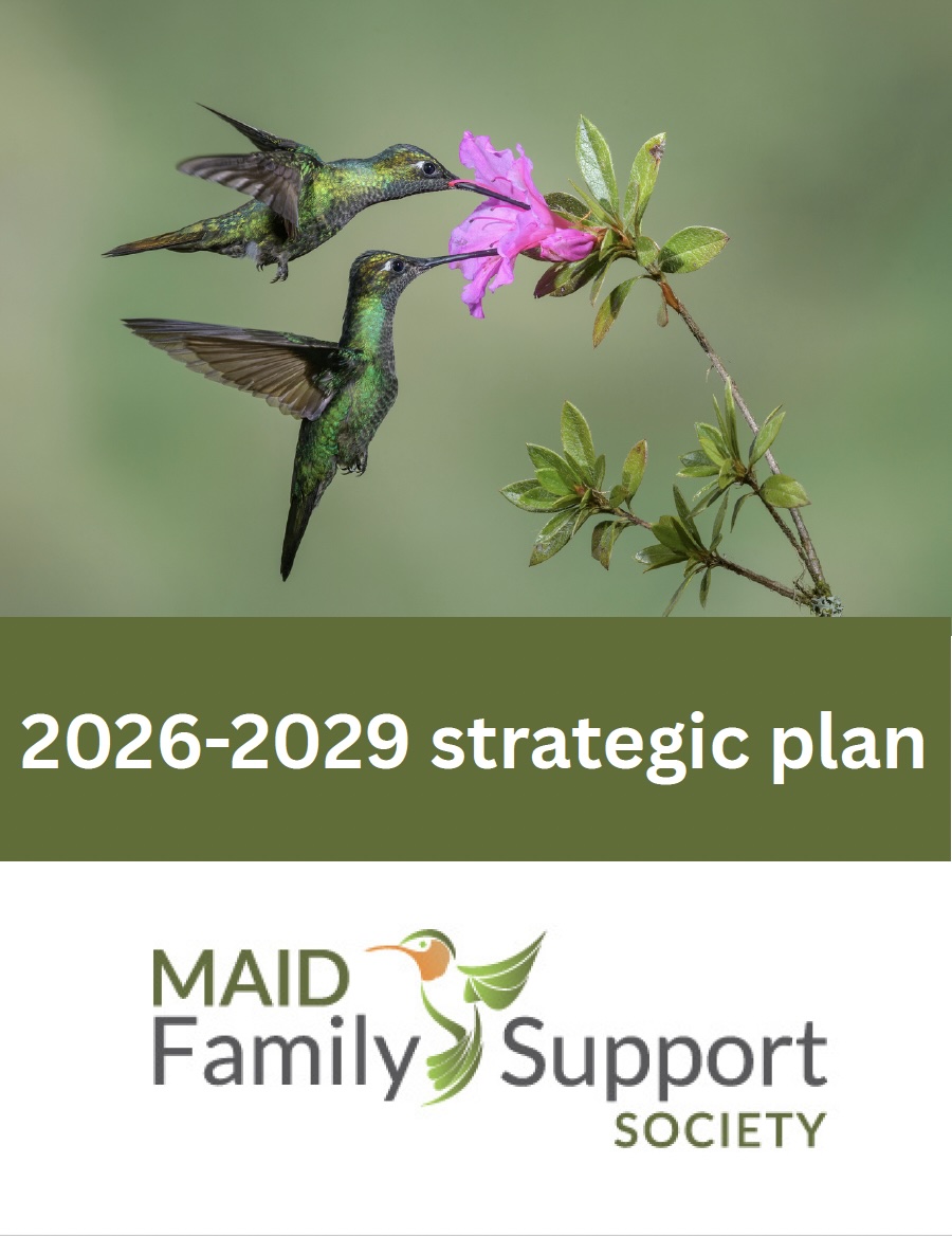 Strategic plan cover