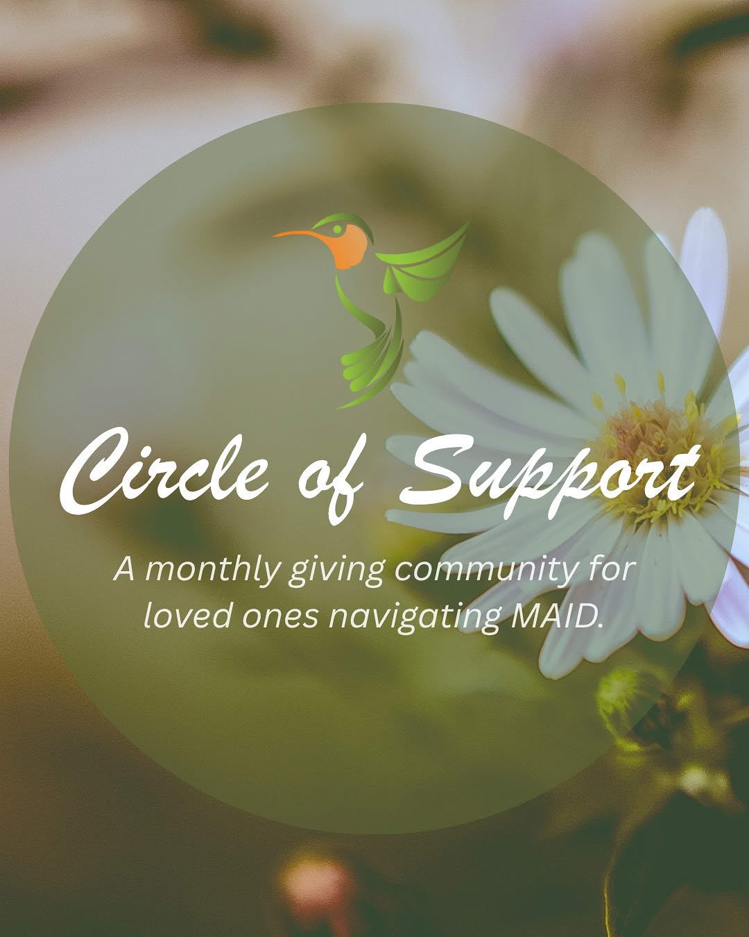 Circle of support graphic